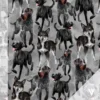 Doglove (harmaa) joustocollege